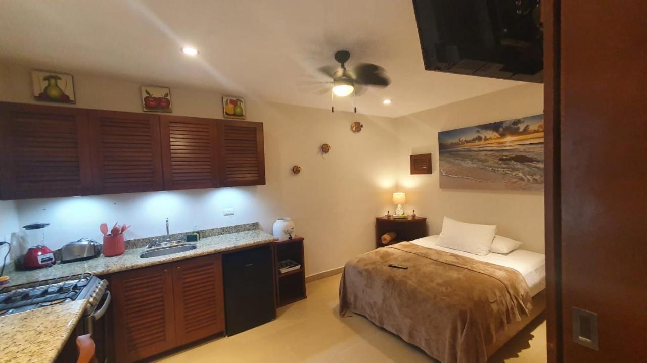 Coralito Malecon Luxury Studio イスラ・ムヘーレス エクステリア 写真