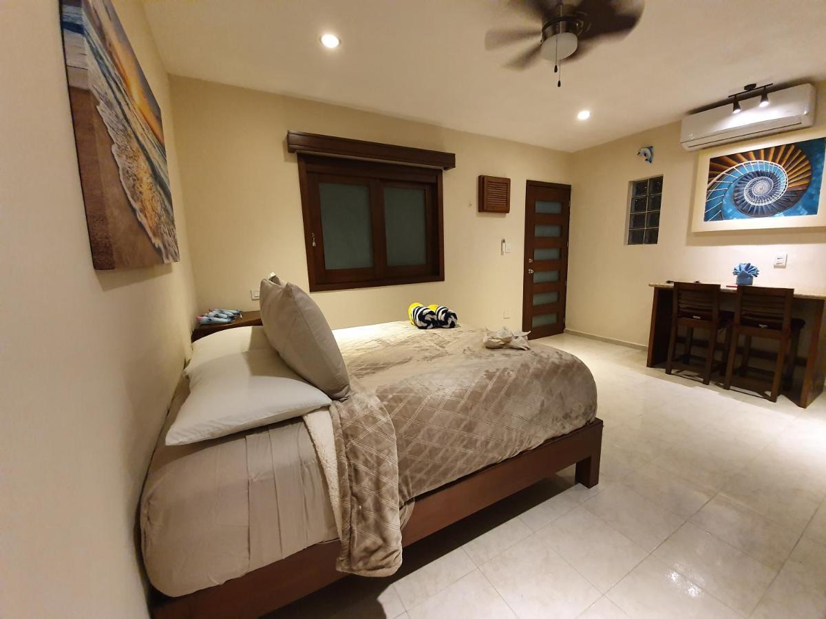 Coralito Malecon Luxury Studio イスラ・ムヘーレス エクステリア 写真
