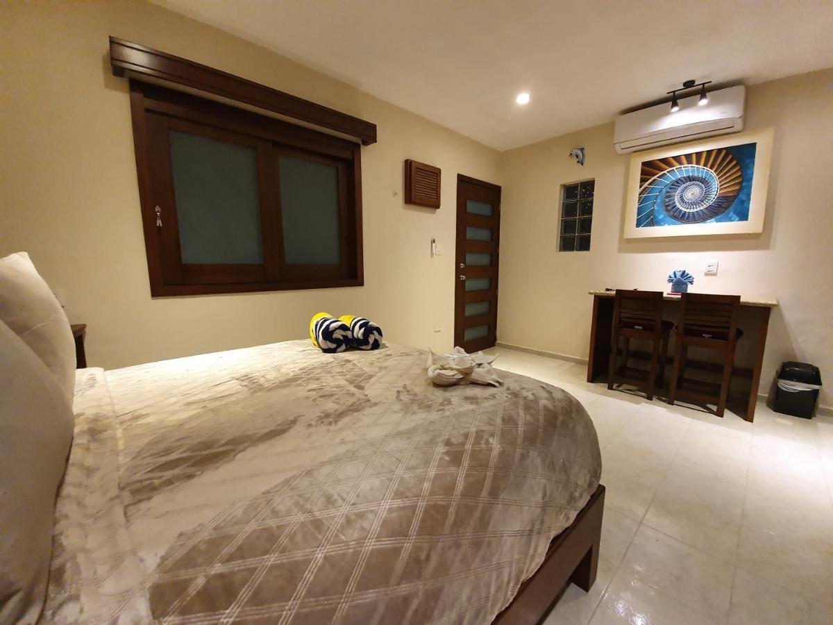 Coralito Malecon Luxury Studio イスラ・ムヘーレス エクステリア 写真