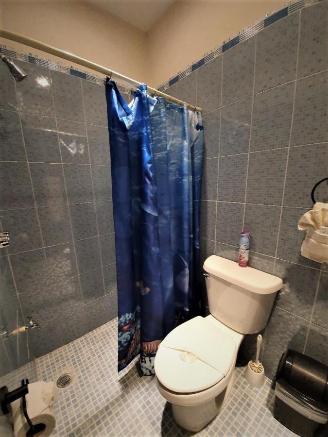 Coralito Malecon Luxury Studio イスラ・ムヘーレス エクステリア 写真